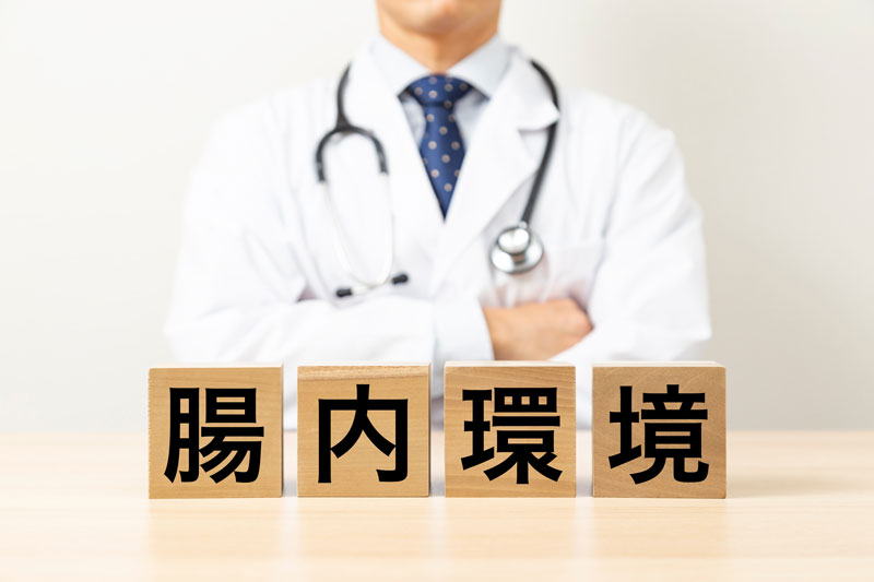 腸内環境